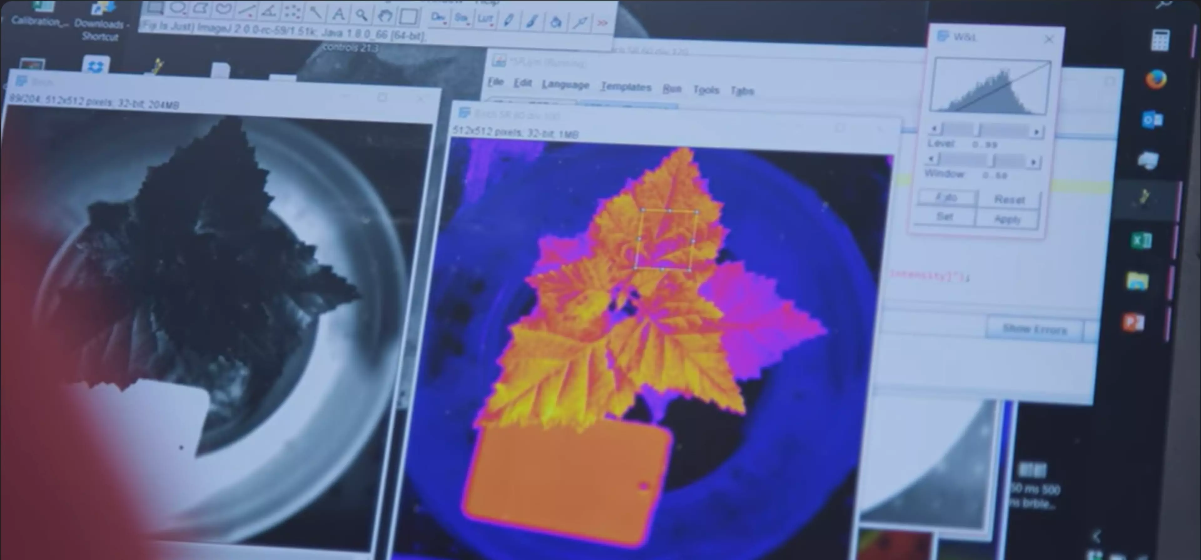 Specim Hyperspectral Imaging plant disease detection