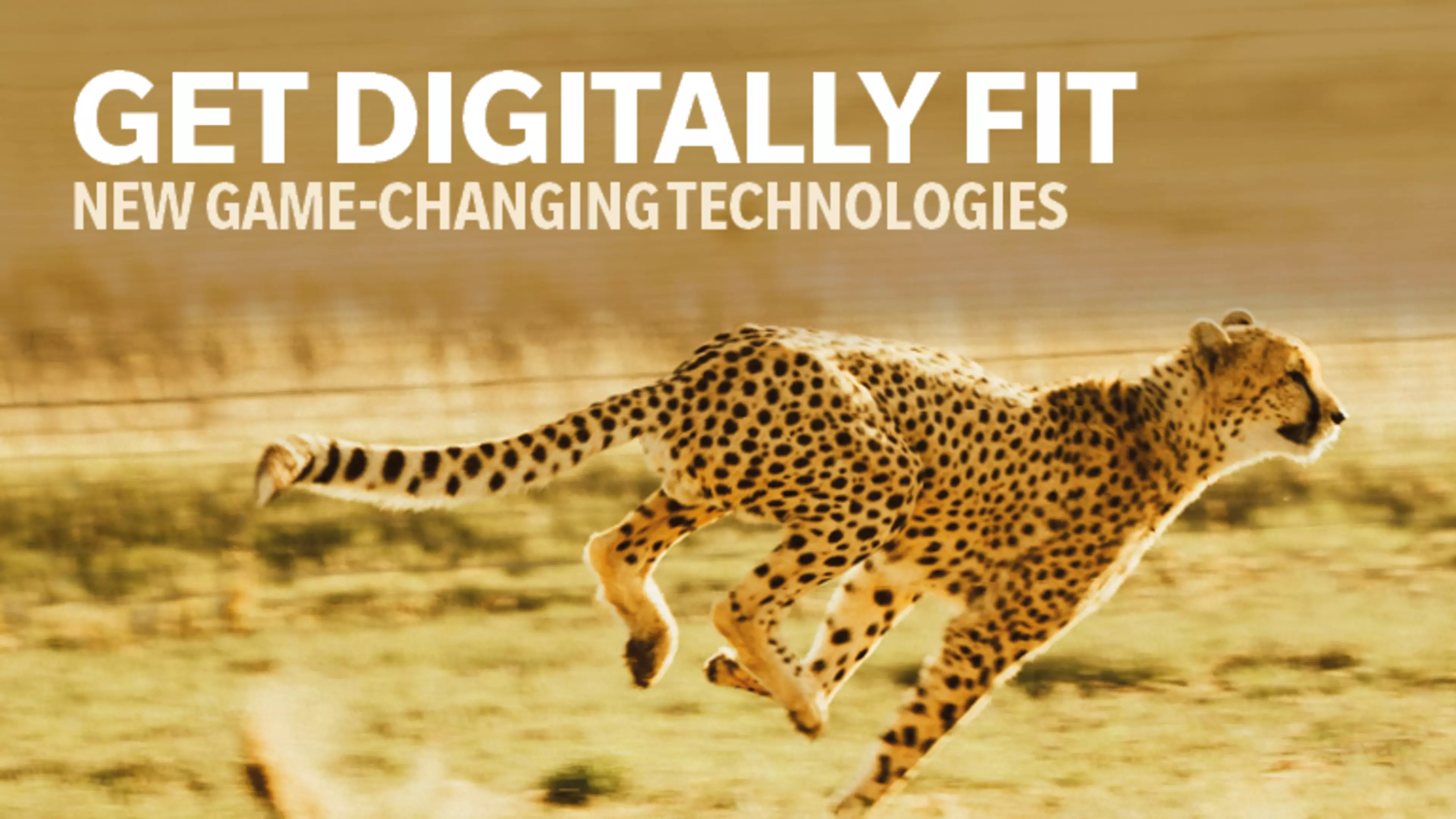 Digital Fitness and the Technology Challenges Facing Supply Chain LogisticsHeroSlider