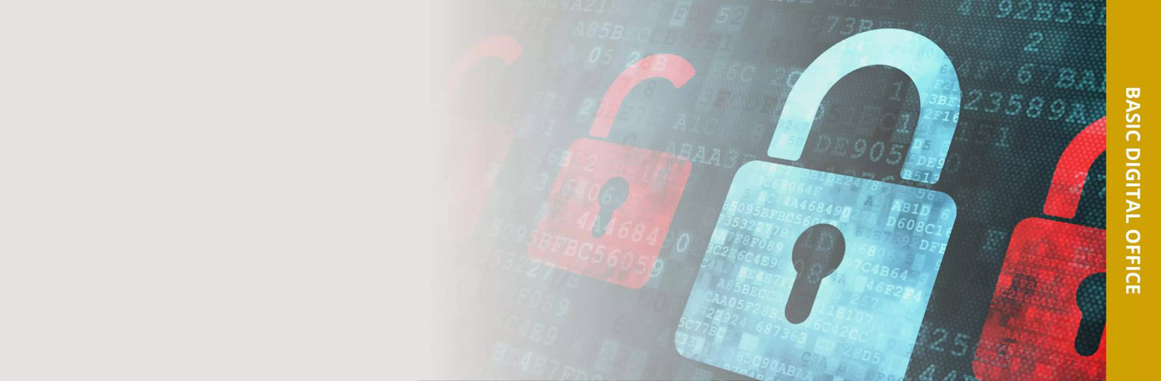 Bizhub SECURE PlatinumHeroSlider