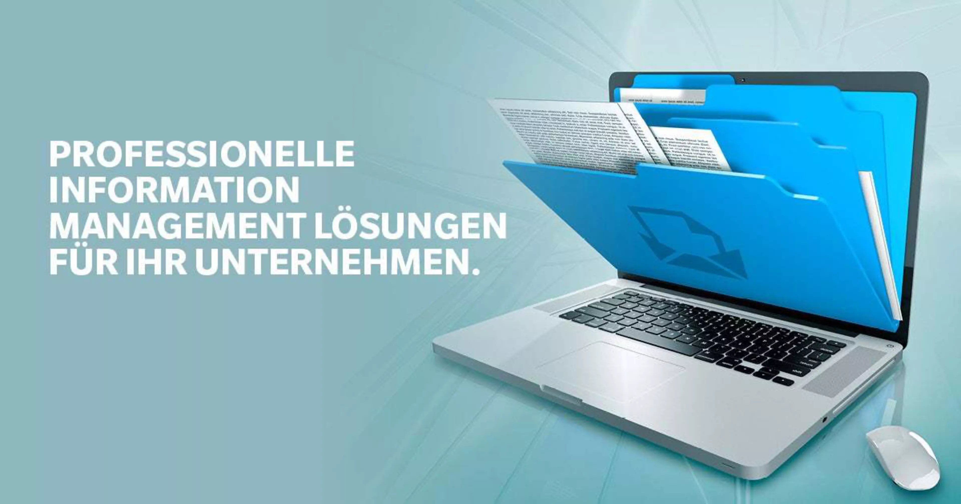 Information Management Lösungen