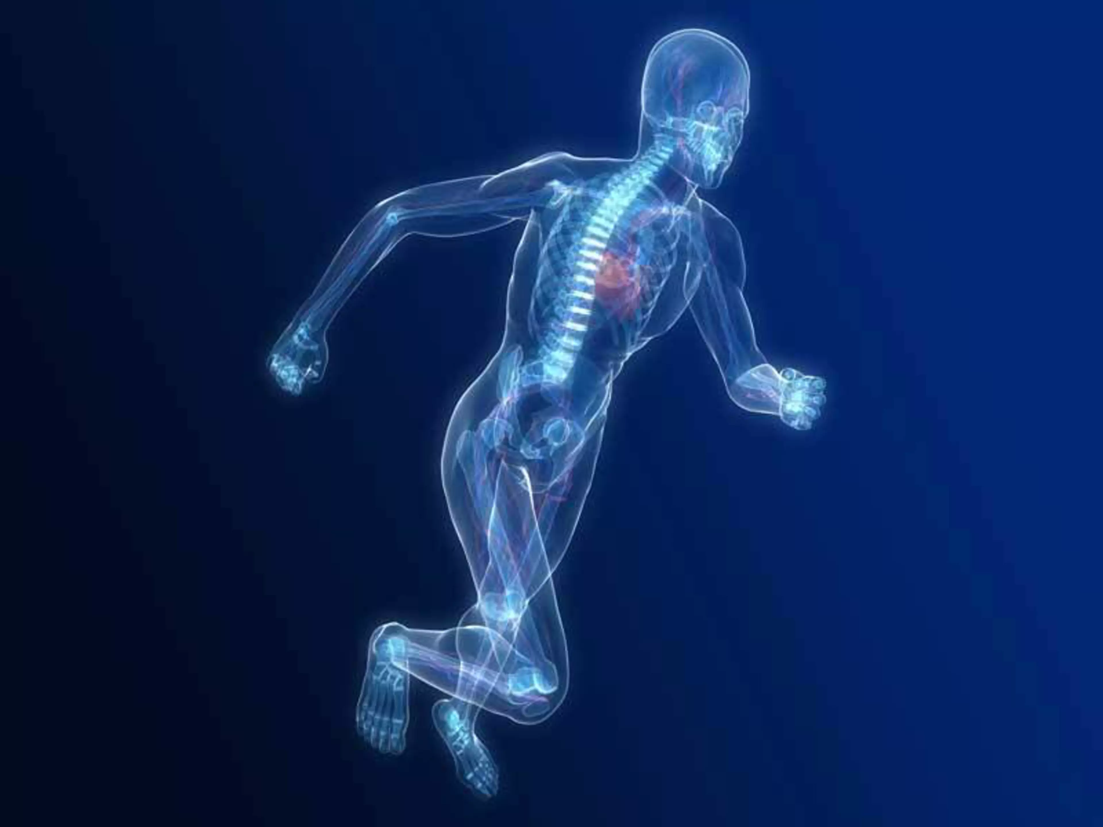 Dynamic Digital Radiography: Konica Minolta bringt Bewegung in die diagnostische Bildgebung