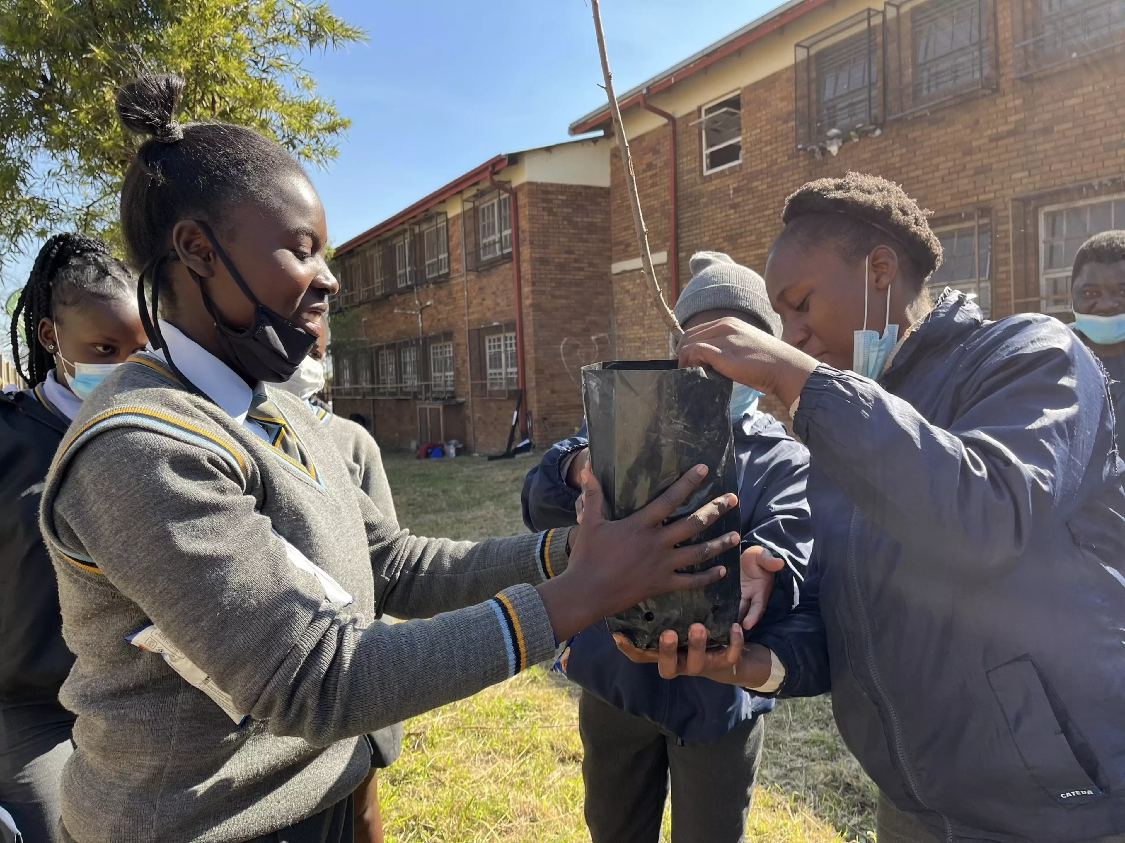 Growth for years as Konica Minolta plants more trees for World Enviro DayImgCarousel2