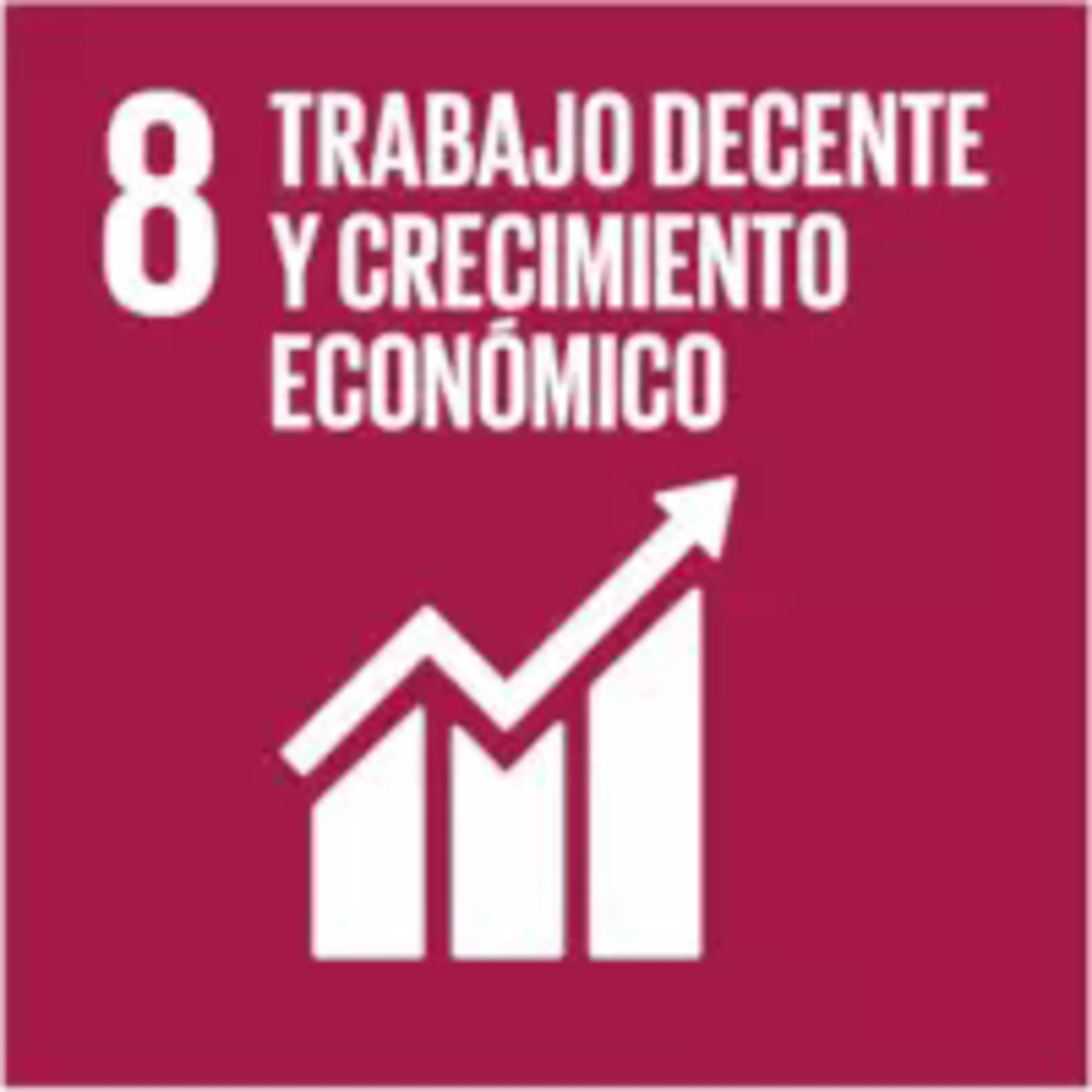 ODS 8 - Trabajo decente y crecimiento económico