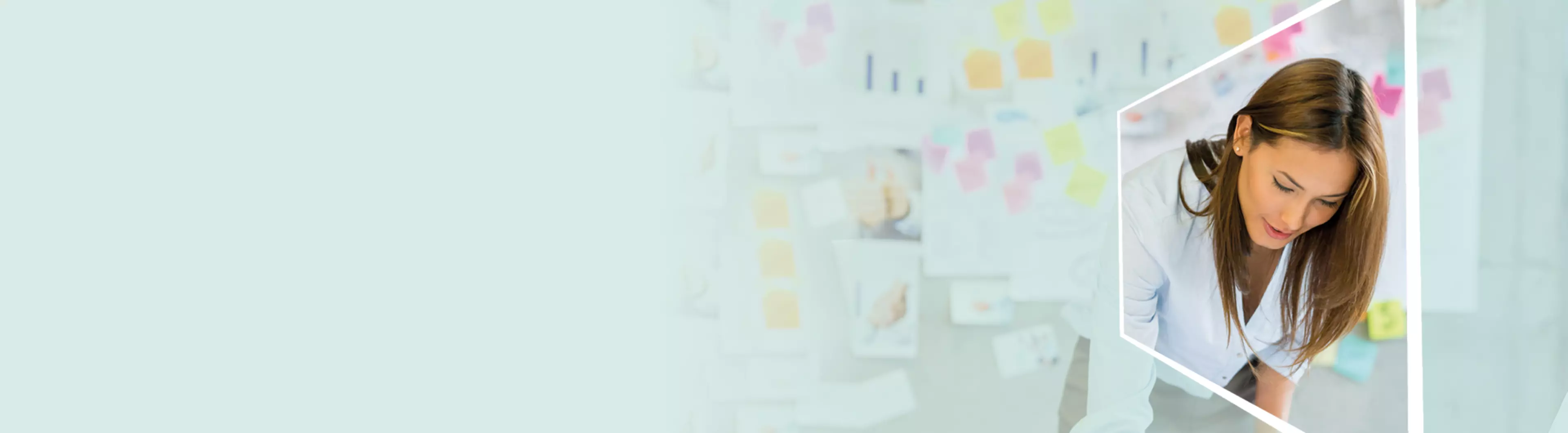 Discover our solutions for schools