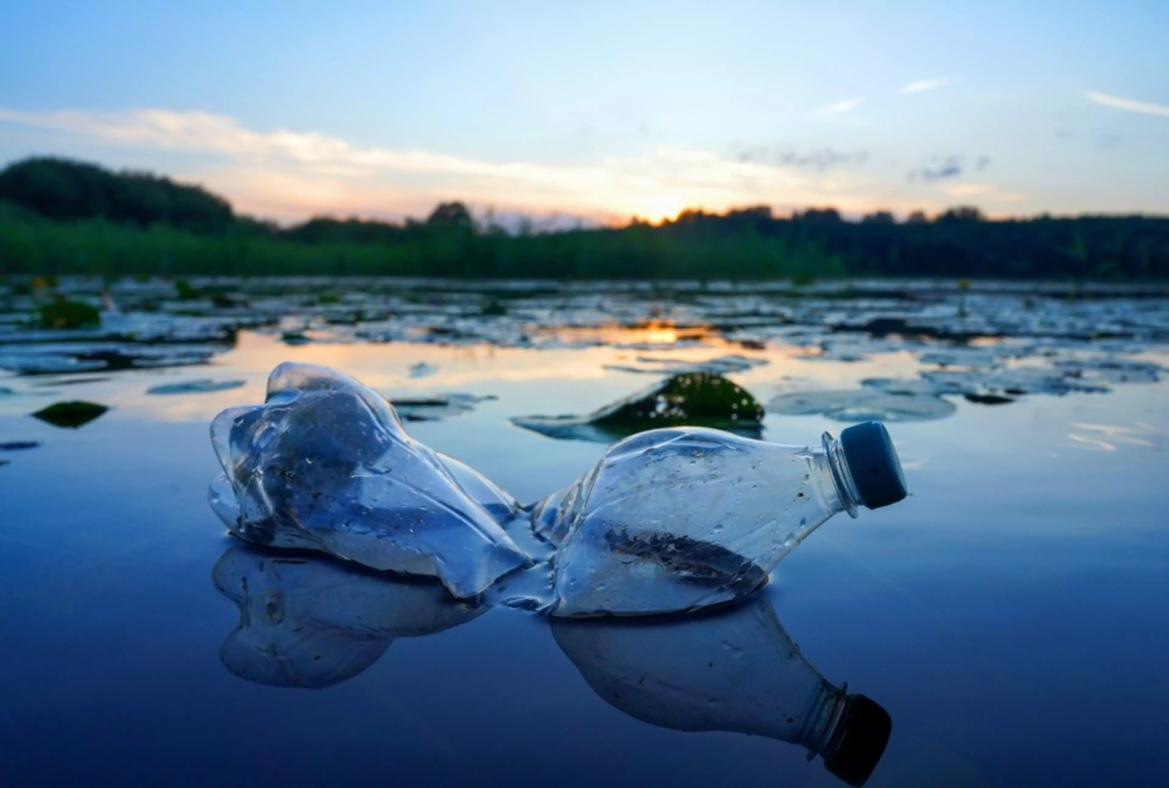 Plastic waste in lake. Ocean pollution, marine debris. Marine litter. Garbage plastic bottle in water of pond. Plastic marine debris. Marine plastic pollution. Microplastics groundwater poisoning.
2495236013