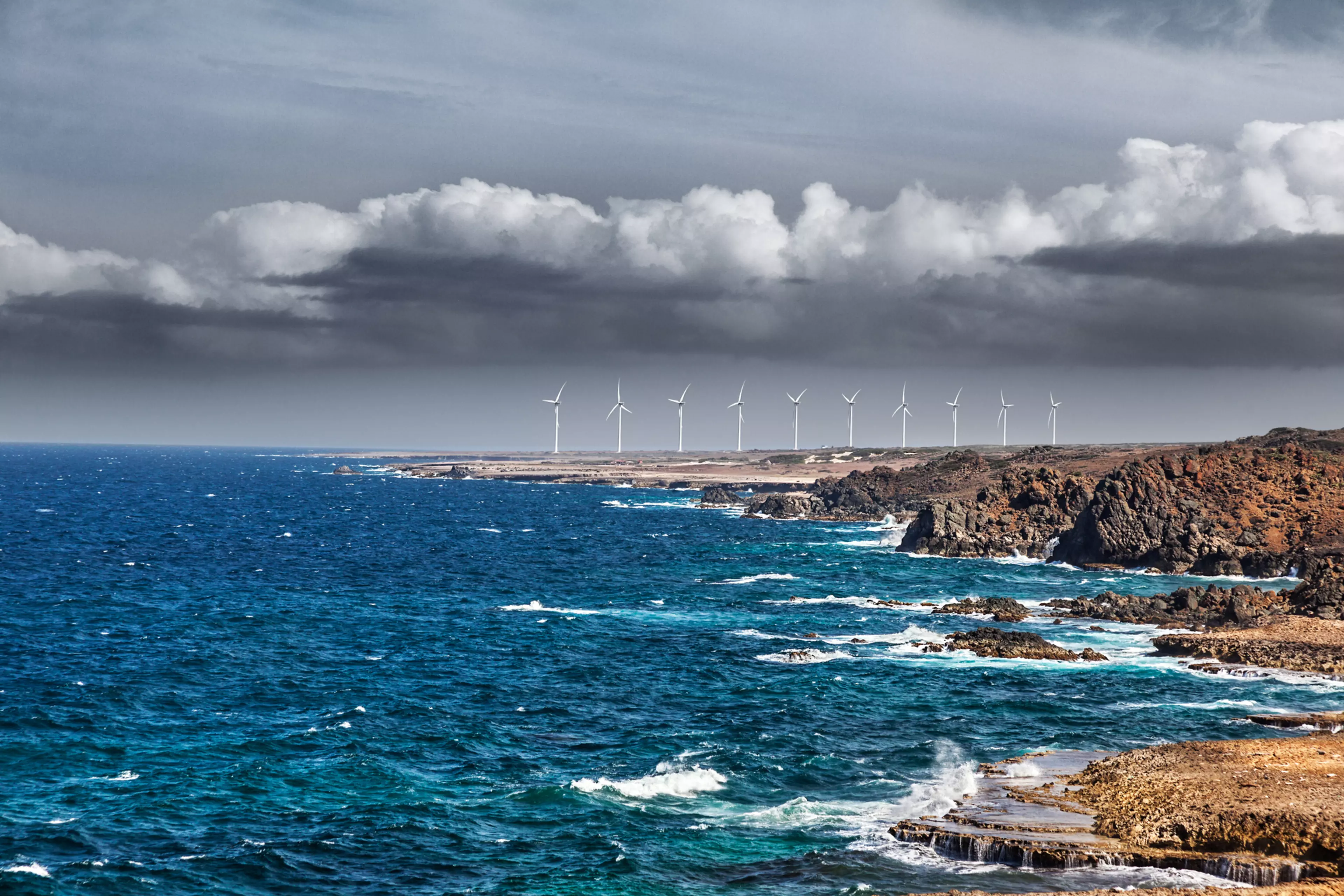 Konica Minolta celebrates 4 years of Enabling Carbon Neutrality, having so far offset over 16 millio