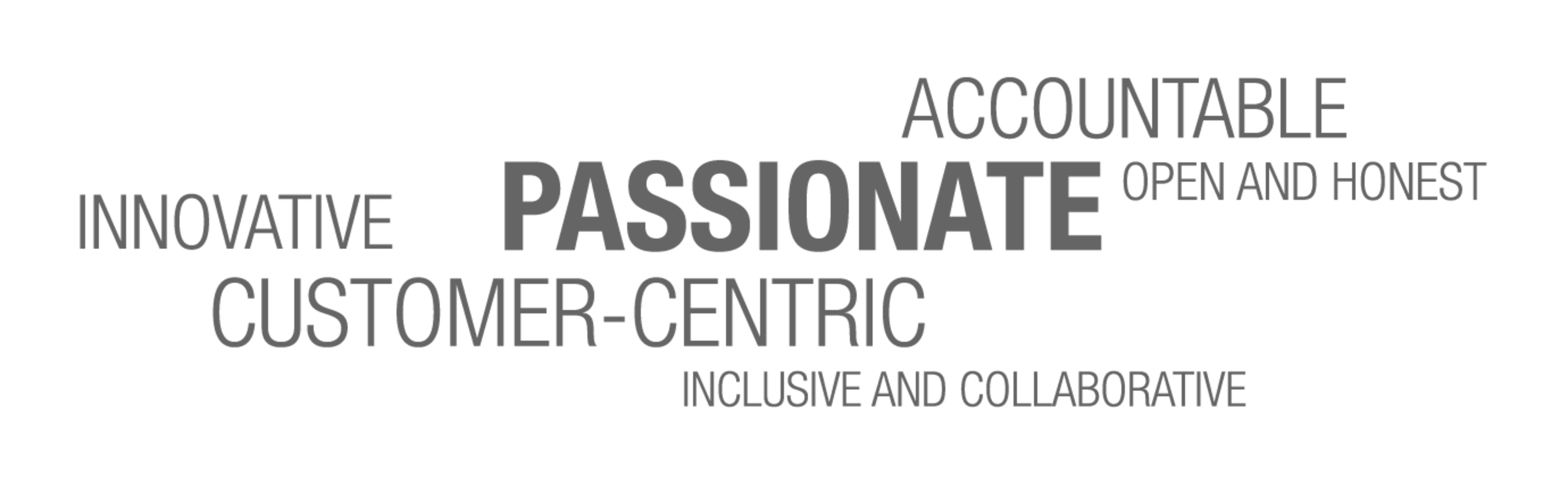 Passionate - Customer-centric - Accountable - Innovative - Open and Honest - Inclusive and Collaborative