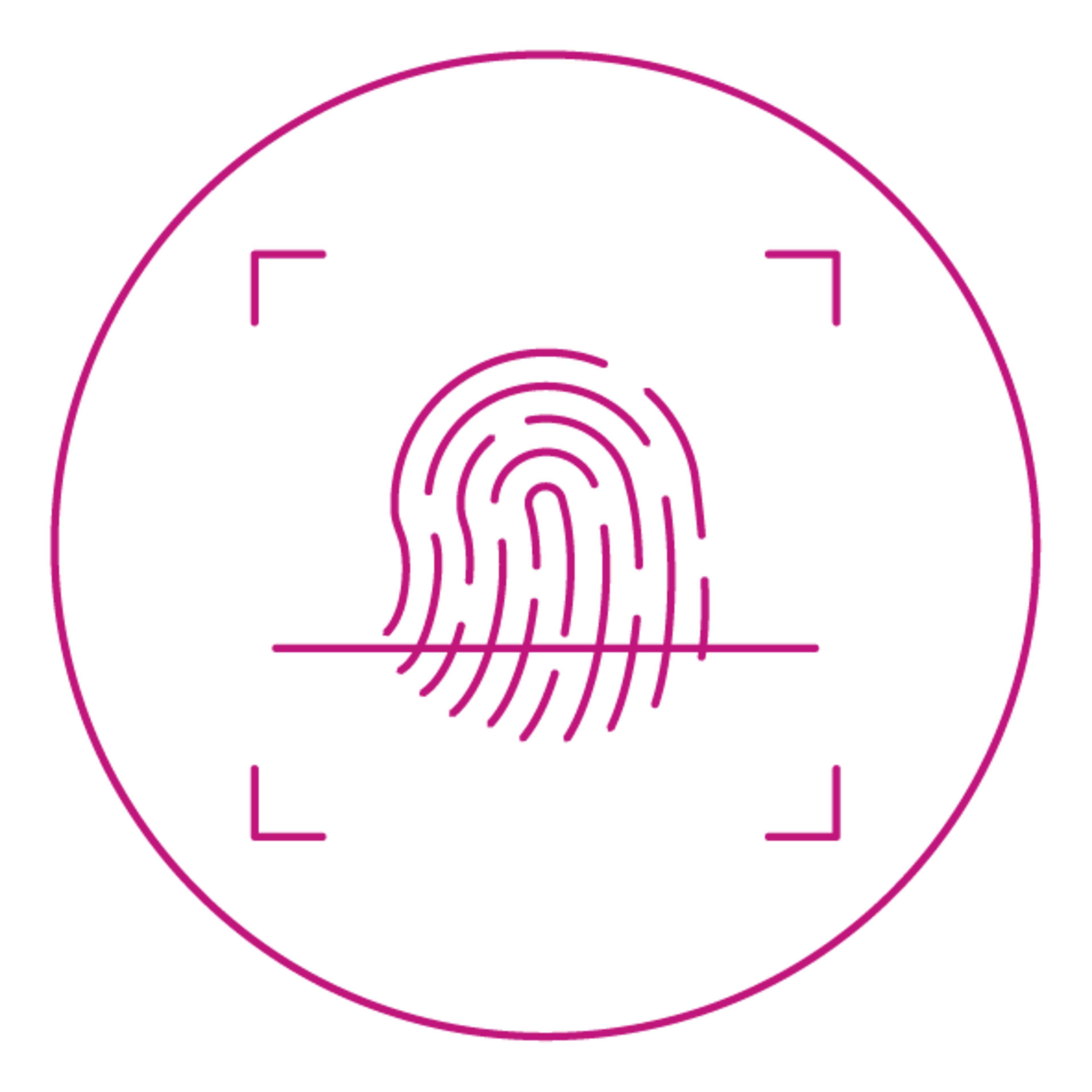 security icon