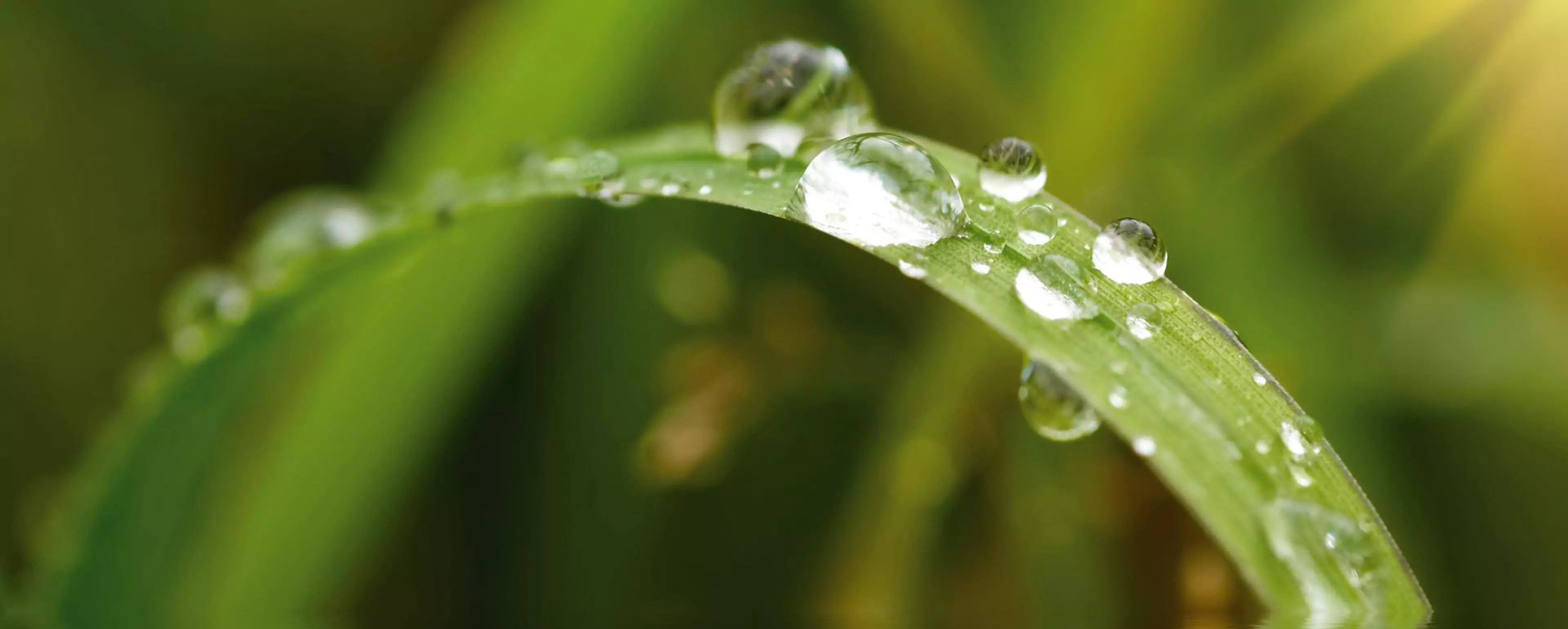 Konica Minolta among 100 most sustainable companies globally