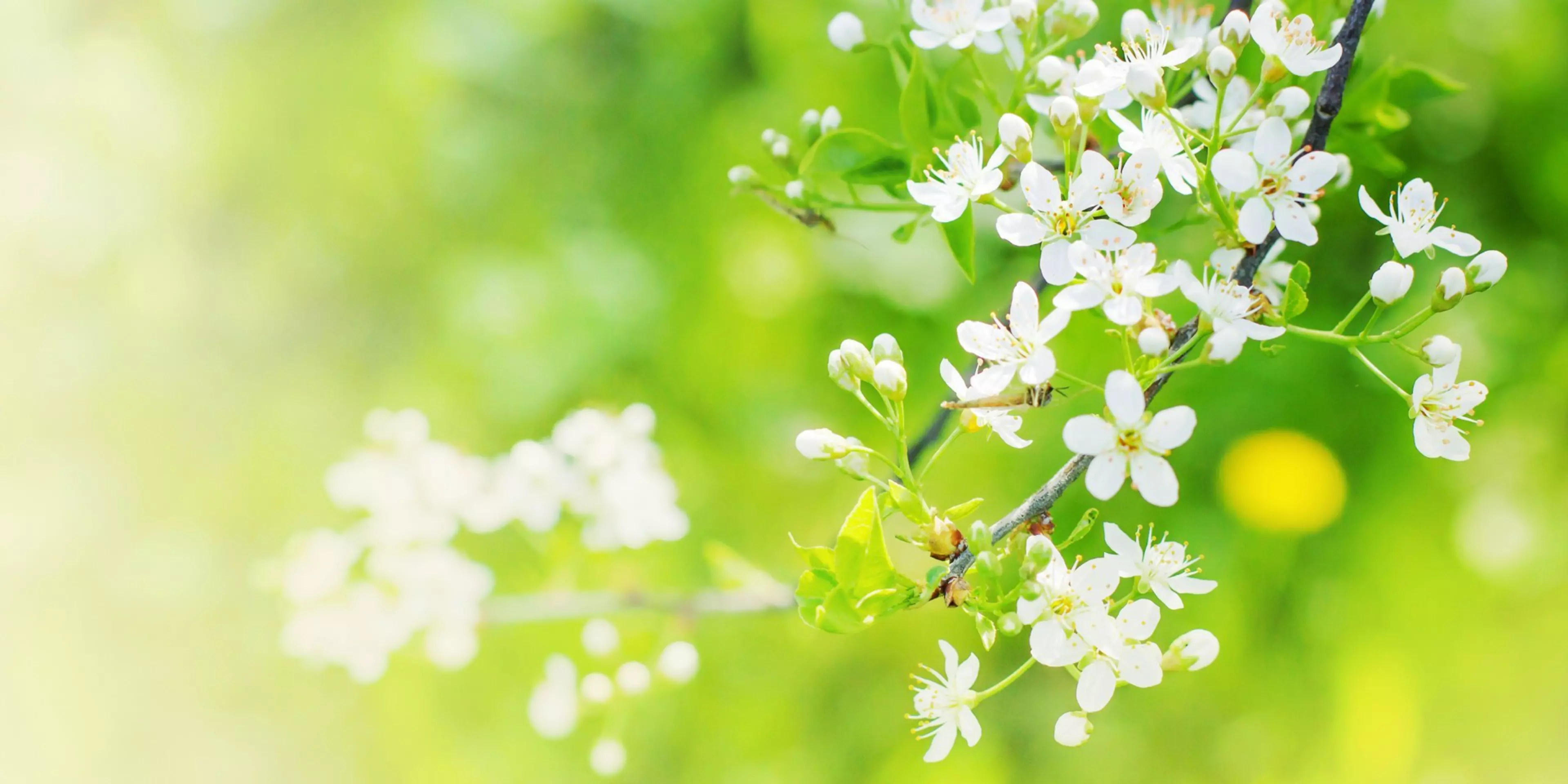 Konica Minolta jedną z najbardziej zrównoważonych firm