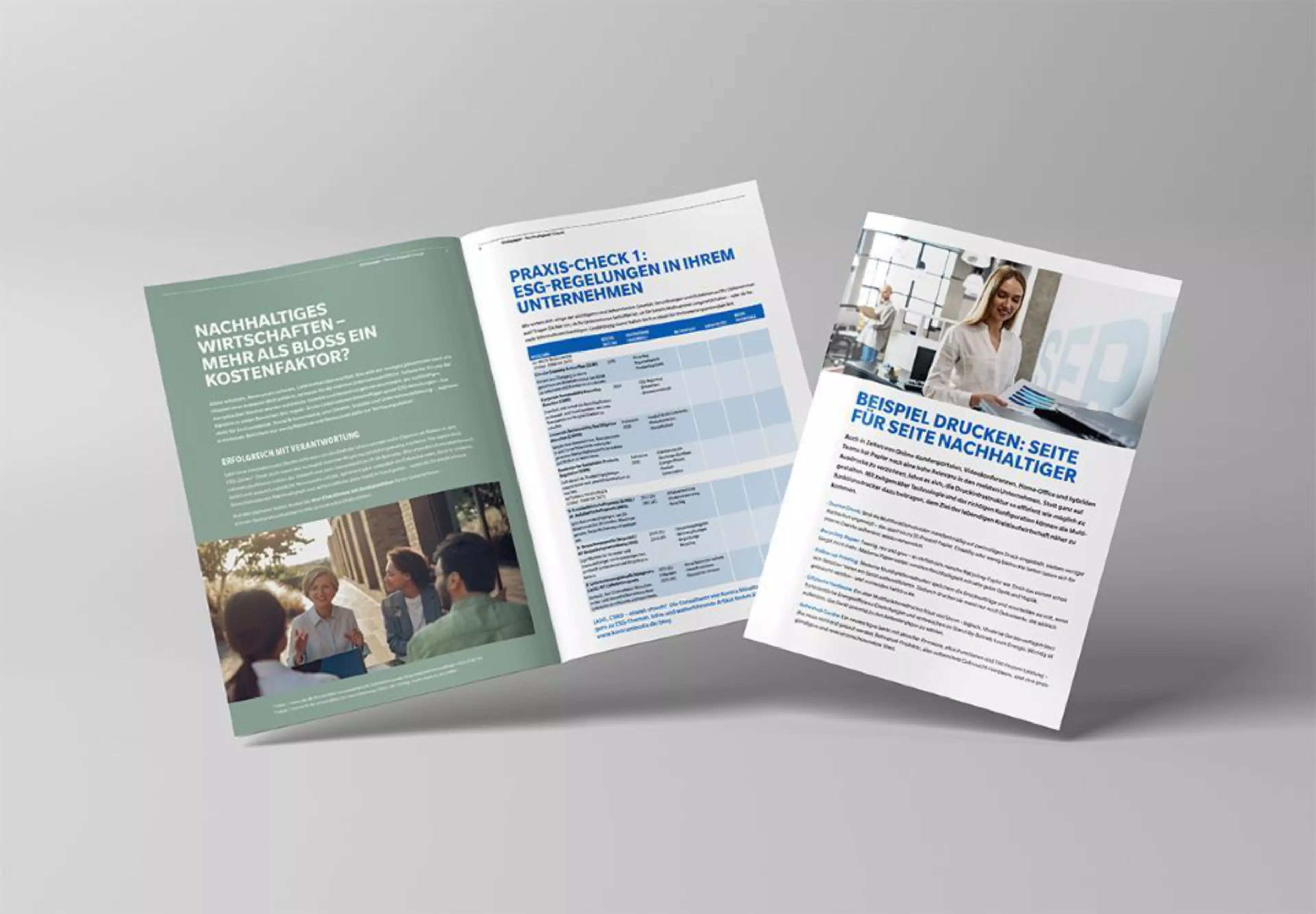 Whitepaper bizhub Refreshed Vorschau