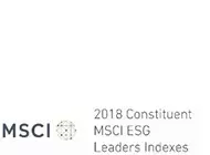 MSCI ESG 2018