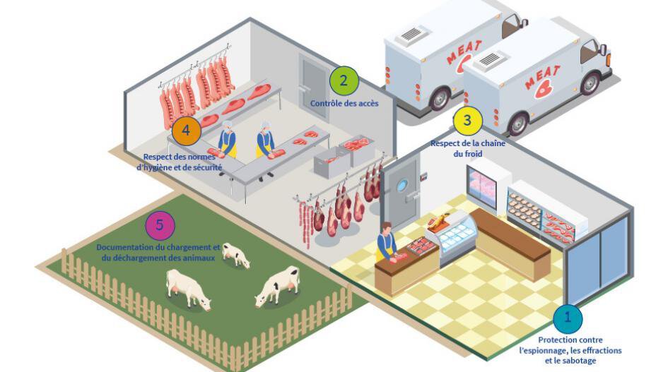 Schéma vidéoprotection intelligente abattoirs