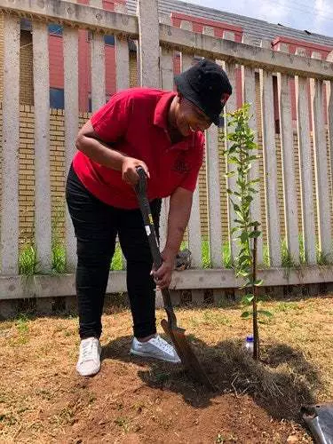 Mrs Portia Tshepe, DOCC YMCA manager, planting a tree at the DOCC YMCA.

